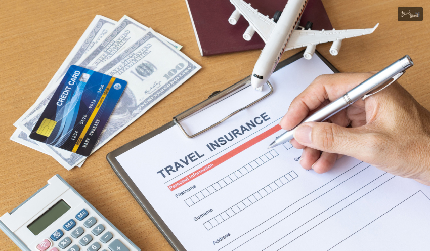 Travellers insurance