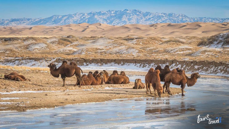 Archeological Value Of The Gobi Desert image