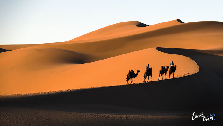 Gobi Desert image