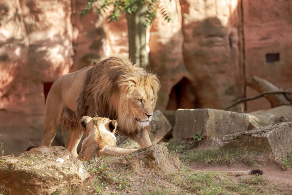 Columbus Zoo