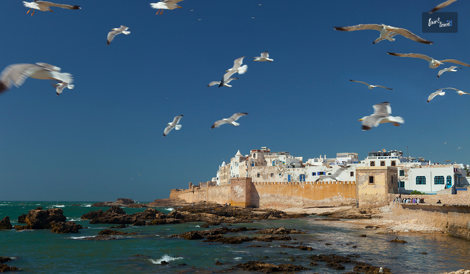 What Is The Best Time To Visit Morocco With Family? Planning A Morocco Trip In 2027