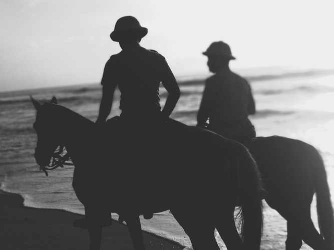 Horse ride along the beach