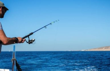 Best Fishing Charters In Florida