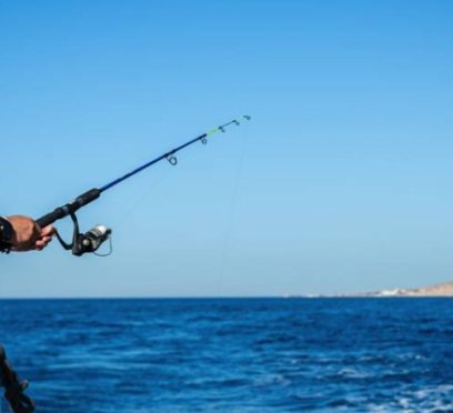Best Fishing Charters In Florida