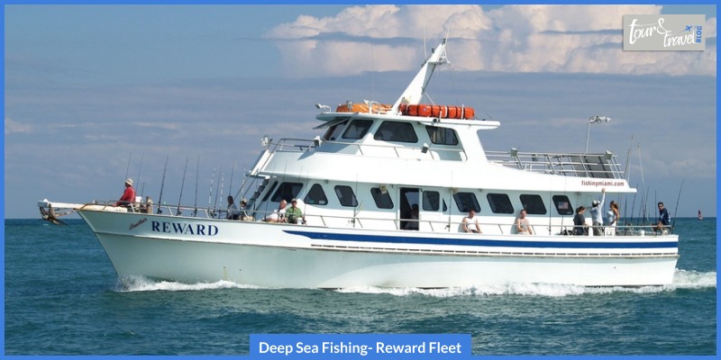 Deep Sea Fishing- Reward Fleet, Half Day