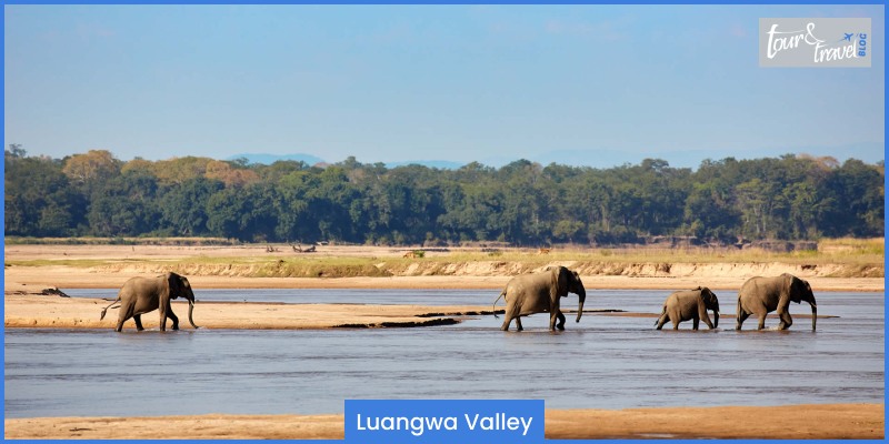 Luangwa Valley, Zambia