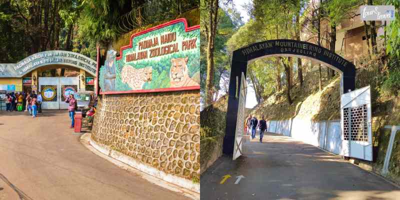 Himalayan Mountaineering Institute and Darjeeling Zoo