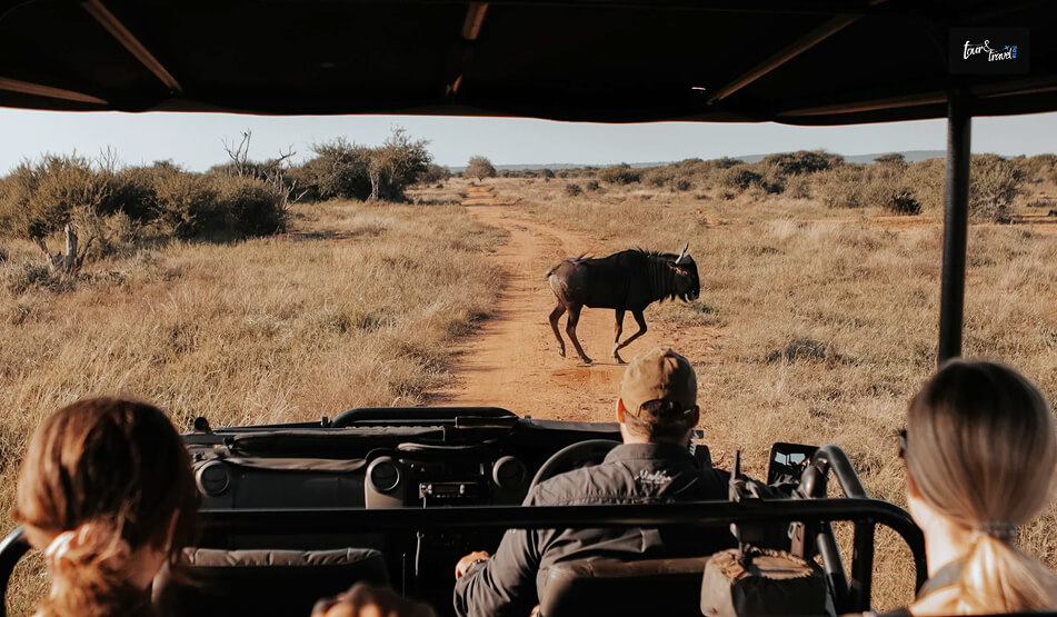 Top Reasons To Book An African Walking Safari&nbsp;