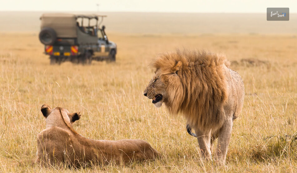 What Is The Best African Walking Safari In 2026
