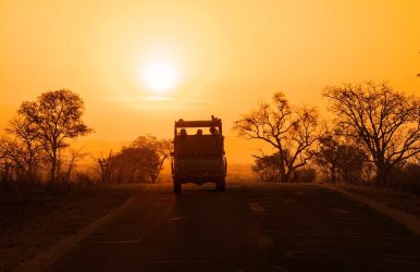 african walking safari