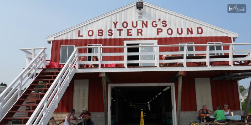 Young's Lobster PoundYoung's Lobster Pound