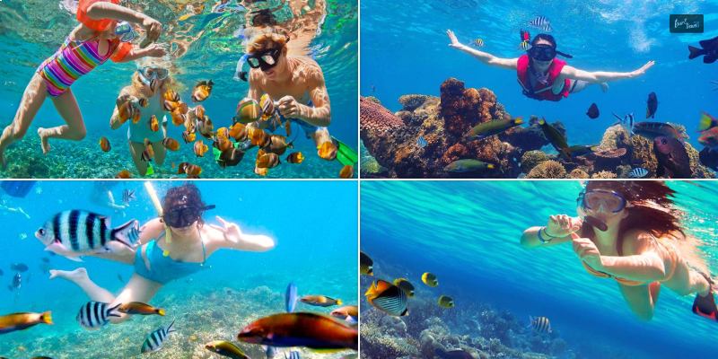 Snorkeling And Diving: