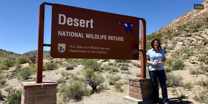 Desert Wildlife Refuge