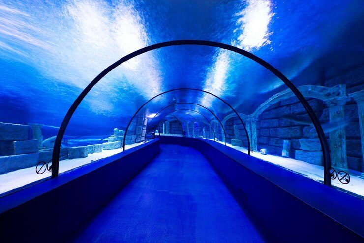 Explore Ripley’s Aquarium