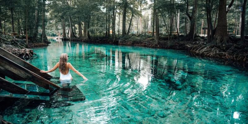 Exploring Ginnie Springs: All That You Need To Know About This Popular Tourist Spot!