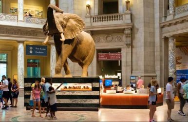 free museums in dc