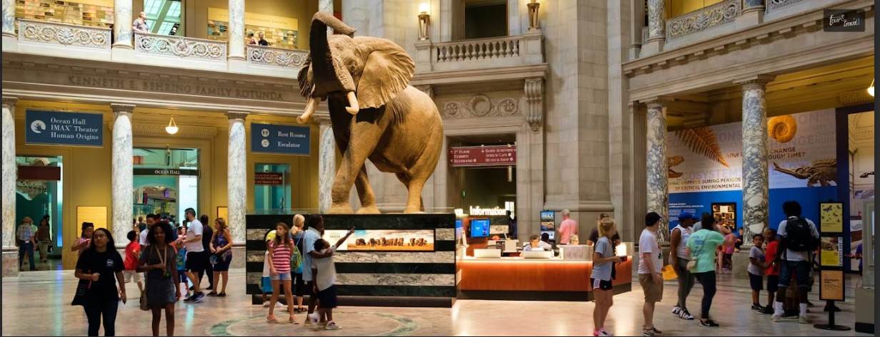 Explore The Top 15 Free Museums In DC Must Visit In 2024