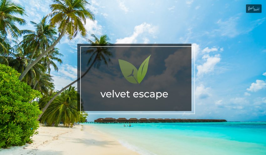 Services Available on Velvet Escape Travel Blog