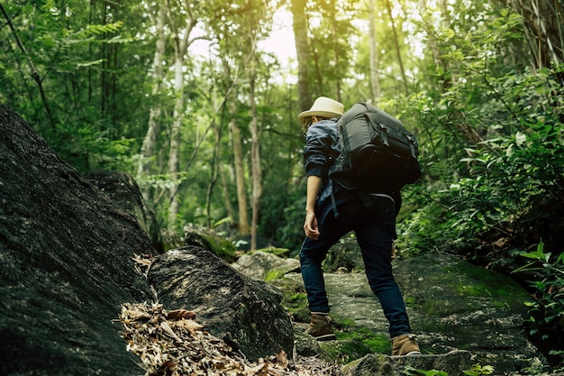 eco tourism in uk