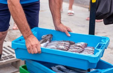 Seafood Market Delivery Services