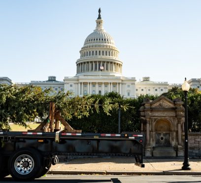 Traveling Christmas Tree For The Western Lawn Of U.S. Capitol