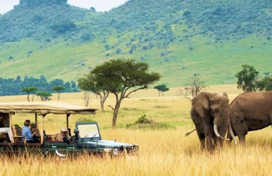 Kenya Is Targeting 5.5M Tourist Arrivals By 2028