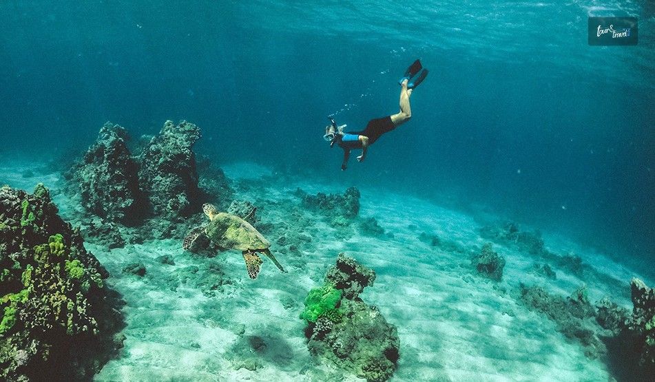 Snorkeling