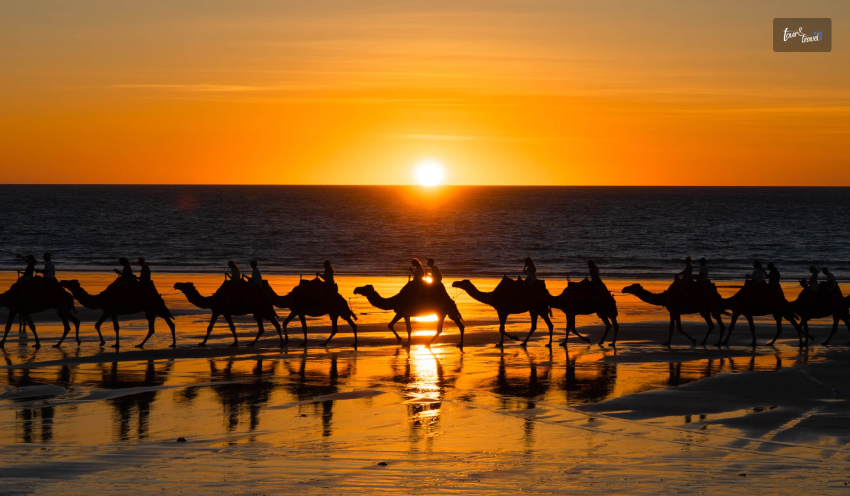Sunset Camel Ride On Cable Beach