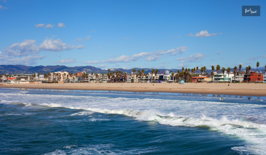 Read About 10 Things to Do in Venice Beach and Plan
