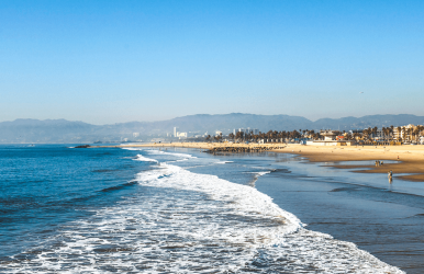 Things to do in Venice Beach