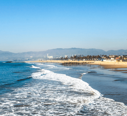 Things to do in Venice Beach