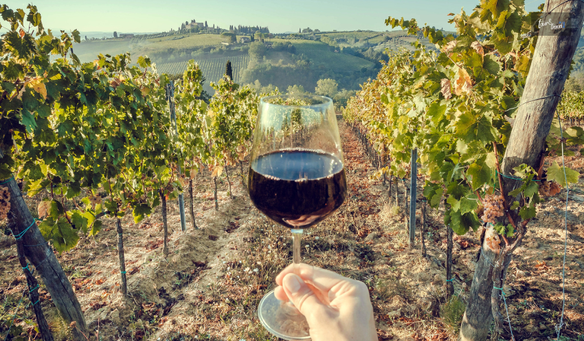 Visit the Wine Country of Italy