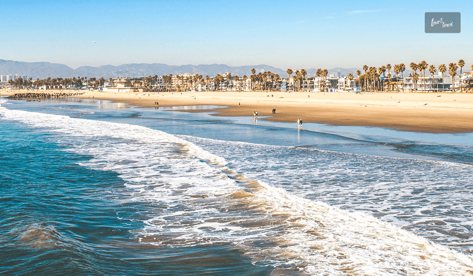What Is The Best Time To Visit Venice Beach Plan Your Trip Right