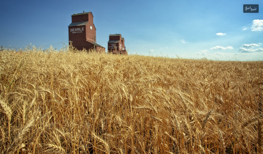 Ghost Towns of Alberta Rowley