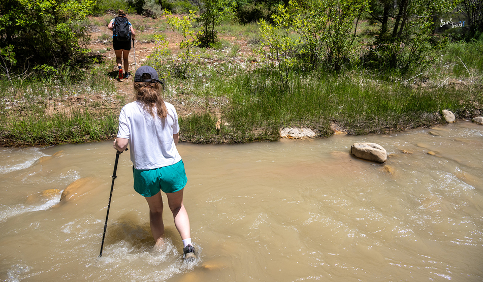 Hiking And Camping In Zion National Park Utah: An Adventure Travel Guide