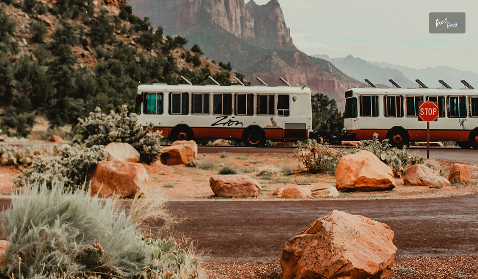 Hiking And Camping In Zion National Park Utah: An Adventure Travel Guide