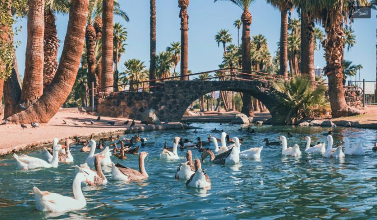 Don’t Miss Free & Cheap Things To Do In Phoenix, Arizona