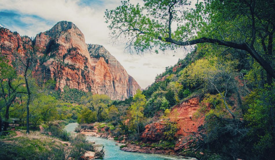 Tips For A Successful Summer Trip To Zion National Park