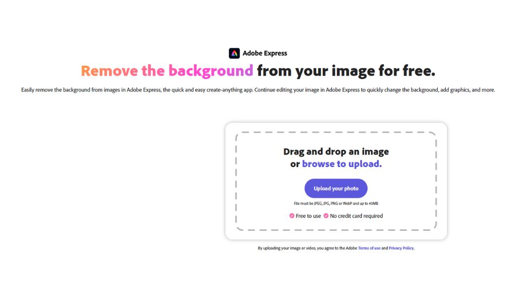 What Is Adobe Express Background Remover 