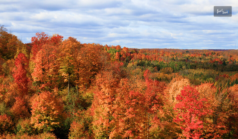 What Is The Best Time To Visit Gaylord, MI_