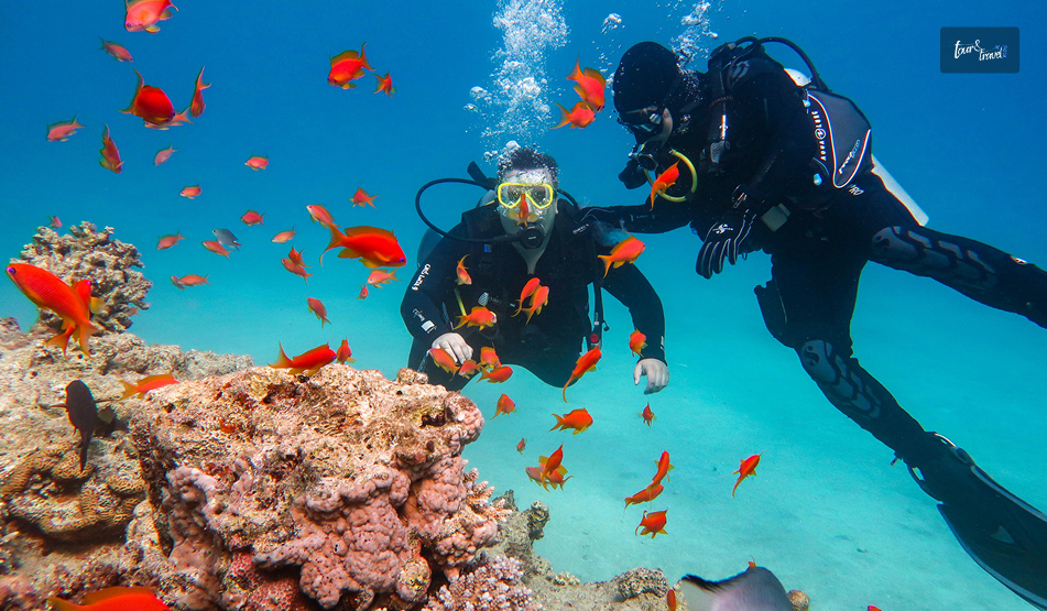 Scuba Diving At Siquijor’s Best Dive Spots Things To Do In Siquijor