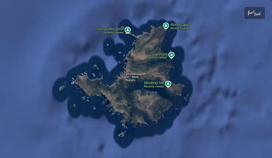 What Is The Best Time To Visit Campbell Island 