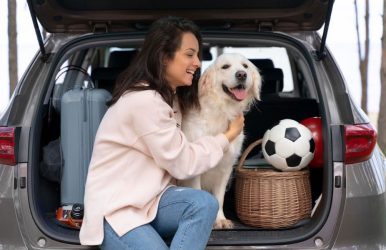 Travel with a Puppy