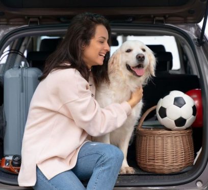 Travel with a Puppy