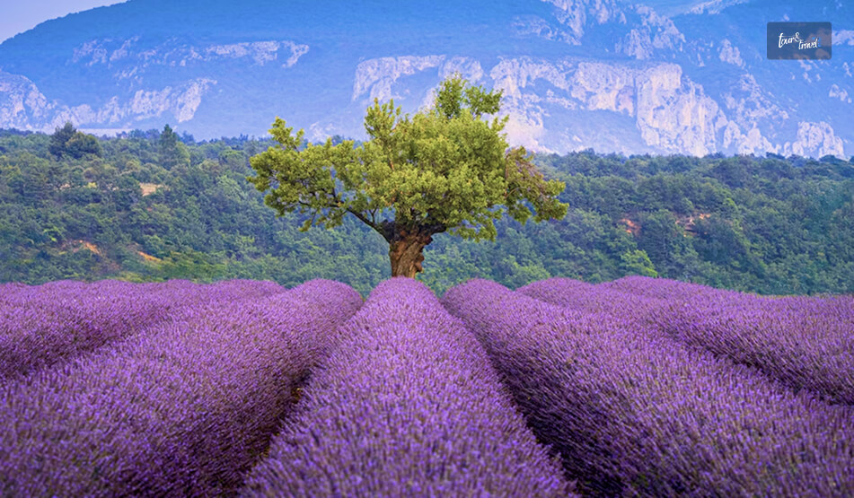 Alpes de Haute Provence And Digne les Bains