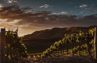 Chilean wine country