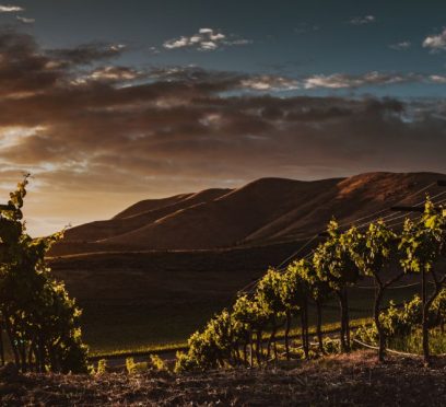 Chilean wine country
