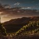 Chilean wine country
