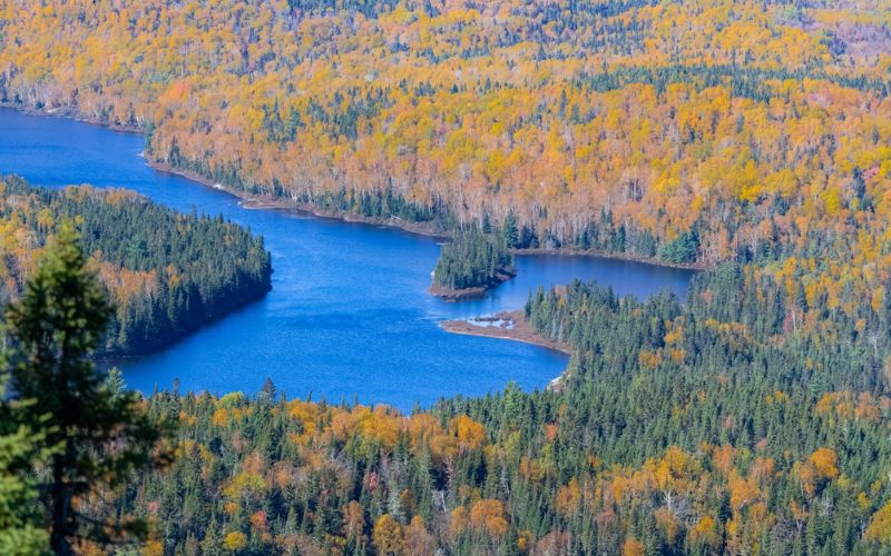 Top Routes On Canadian Train Vacation That Showcase Canada’s Natural Wonders