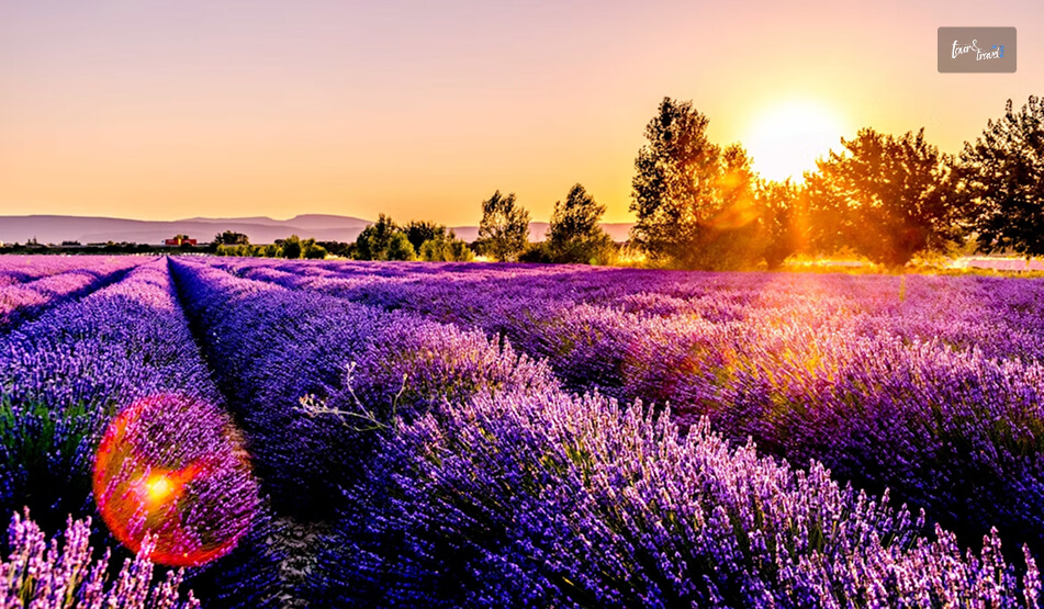 What Is The Best Time To Visit The South Of France